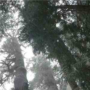 Relcad - Hehart Lake mp3 album