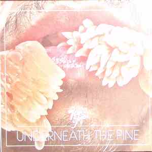 Toro Y Moi - Underneath The Pine mp3 album