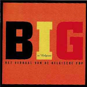 Various - Big In Belgium - Het Verhaal Van De Belgische Pop mp3 album