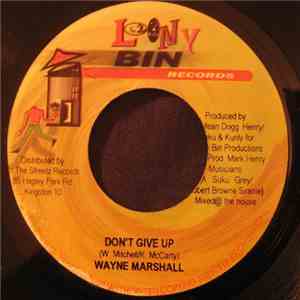 Wayne Marshall - Don't Give Up mp3 album