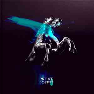 What So Not - Not All The Beautiful Things mp3 album