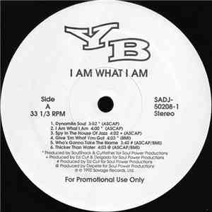 YB - I Am What I Am mp3 album